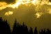DSC_0181.jpg