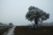 DSC_8294.jpg