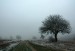 DSC_8347.jpg
