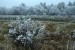 DSC_8365.jpg