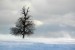 DSC_9019.jpg