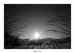 DSC_3406 BW ram.jpg